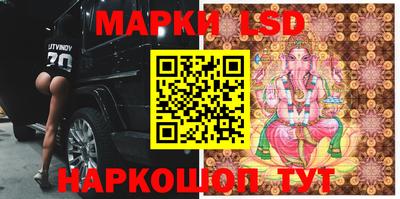 mdpv Новокубанск